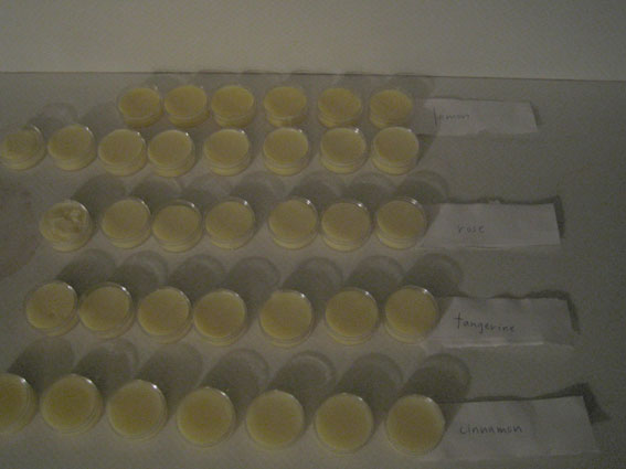 The packaging needs work, but here is the finished product. Lemon, Rose, Cinnamon, and Tangerine beeswax lip balms.