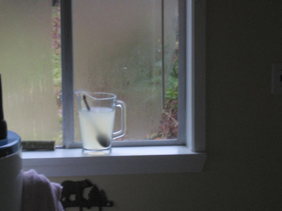 Homemade lemonade, staying cool next to the window because the fridge was too full.