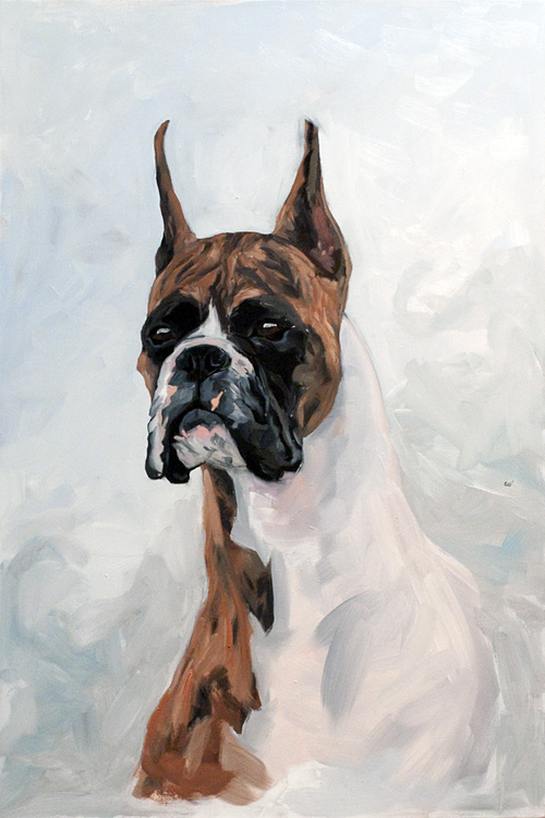 Yaloetownpetportraits