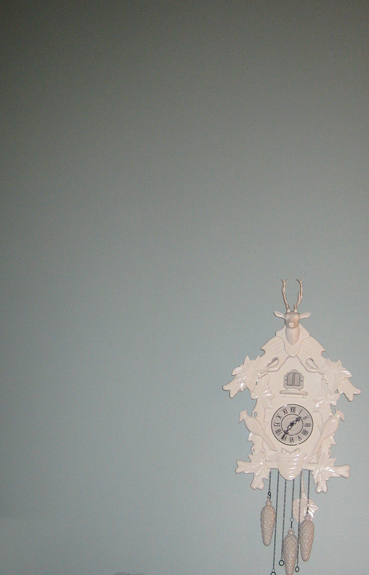 ErinandLenny7 I am a bit jealous of their white cuckoo clock with deer head.