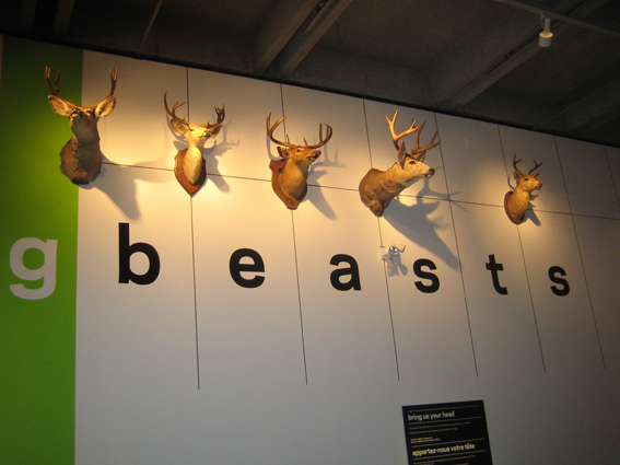 Taxidermy2 Taxidermy2