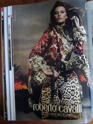 Cavalli