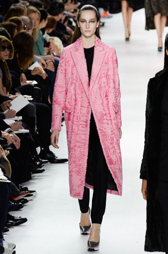 Christian Dior Fall 2014 | Searching for Style